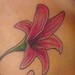 tattoo galleries/ - Lilly 